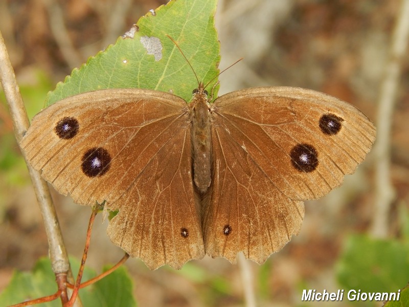 Parco del Ticino : incontri del 12/9/15